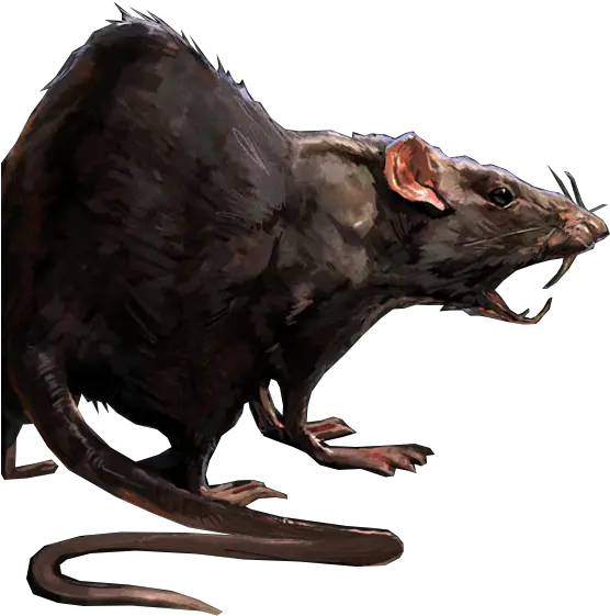 Dead Rat Png Picture 817382 Rat Concept Art Rats Png