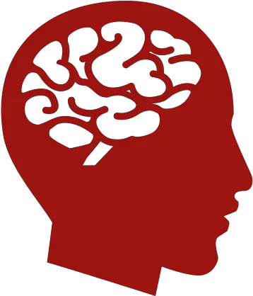 Png Human Brain Image Human Brain Icon Png Human Brain Png