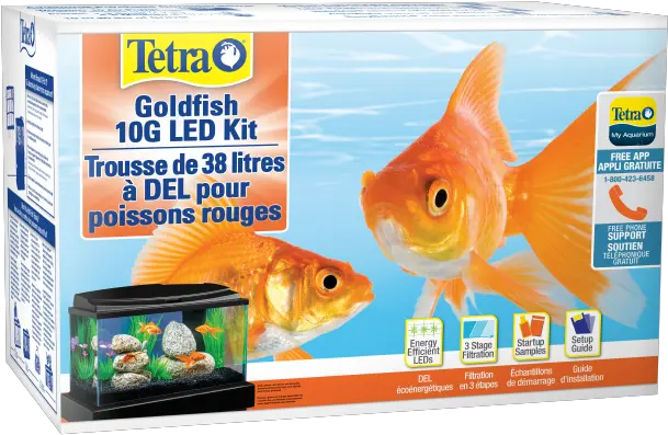 Goldfish Led Aquarium Kit Tetra Tetra Goldfish 10g Led Kit Png Goldfish Transparent