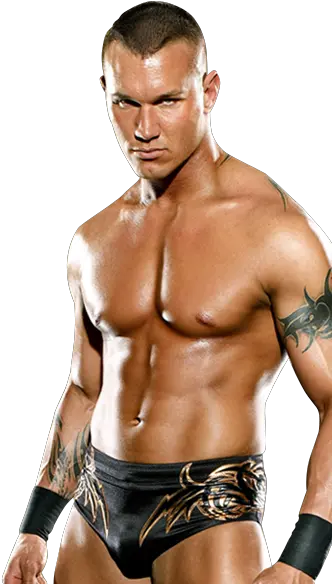 Randy Orton Photo Randy Orton 2010 Png Randy Orton Png