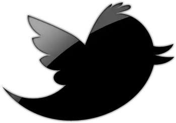 Black And White Twitter Icon 379768 Free Icons Library Twitter Logo Black Bird Png White Twitter Logo Png