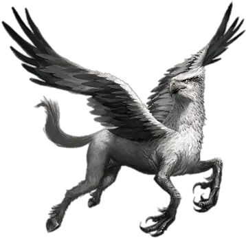 Harry Potter Hippogriff Transparent Png Fantastic Beasts Cases From The Wizarding World Creatures Harry Potter Transparent Background