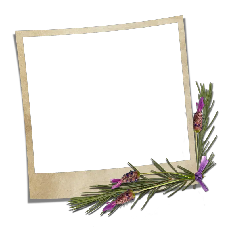 Blank Polaroid Frame Png