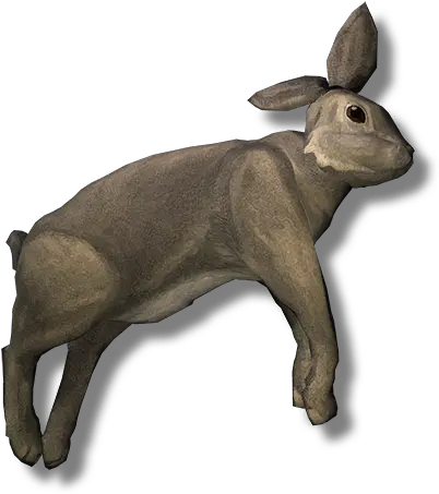 Rabbit Carcass The Long Dark Png The Long Dark Icon