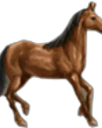 Horse Ostriv Wiki Fandom Stallion Png Horse Png