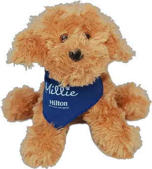 Toy Dog Millie At The Hilton Png Dog Toy Png