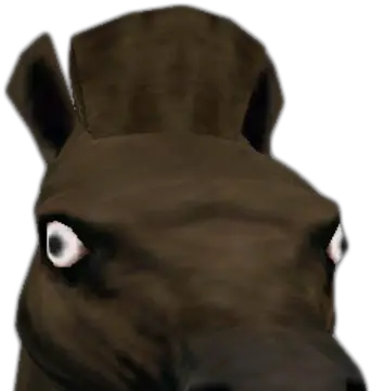 Novelty Mask Horse Dead Rising Wiki Fandom Soft Png Horse Mask Png