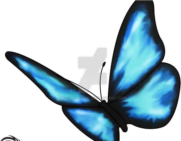 Clipart Blue Butterfly Tattoo Butterfly Transparent Png Life Is Strange Transparent