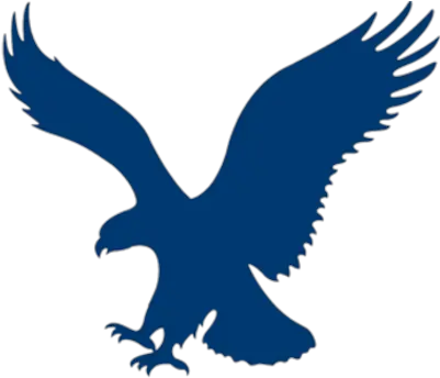 Save Eagle Png Transparent Background Free Download 17417 Head Icon