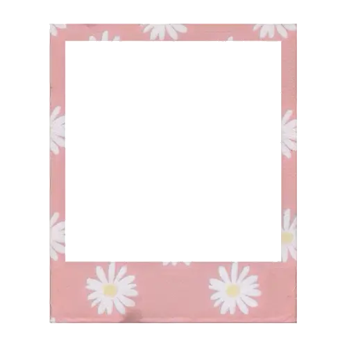 Polaroid Frame Transparent Png