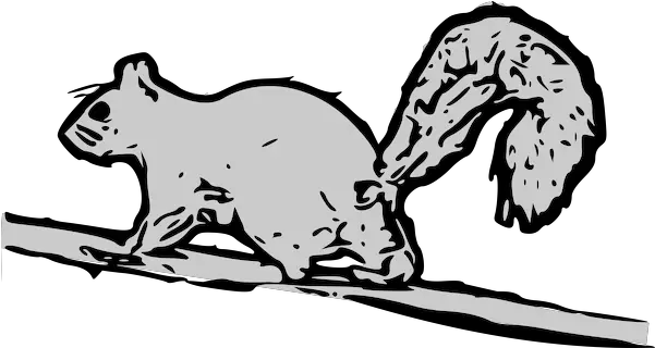 Grey Squirrel Download Free Clip Art Images U0026 Graphics Squirrel Cartoon White Black Png Squirrel Png