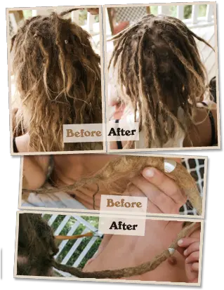 Dreadlock Maintenance Gold Coast To Byron Bay Fixing Dreads With Crochet Hook Png Dreads Png