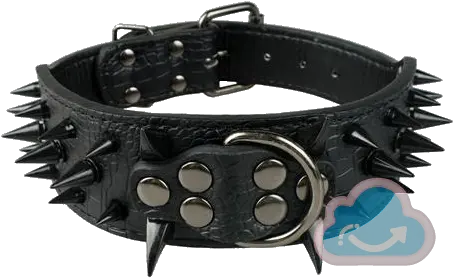 Download Sharp Spiked Studded Leather Spiked Collars For Dogs Png Dog Collar Png