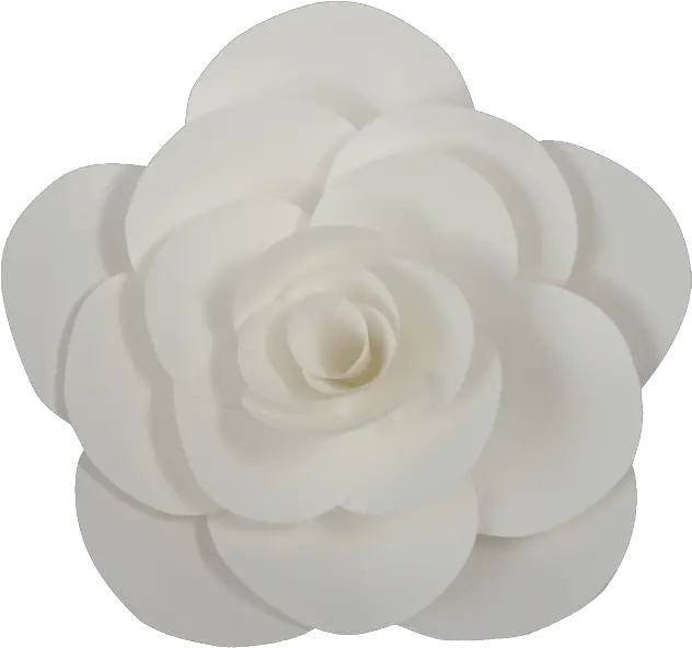 Download White Paper Flower Png Paper Flowers Transparent Background Paper Flower Png