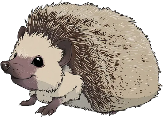 Hedgehog Transparent Png Hedgehog Transparent Hedgehog Transparent Background