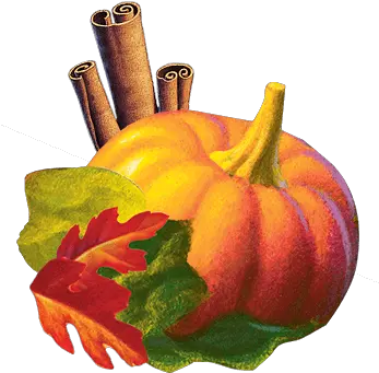 Holiday Sweet Harvest Pumpkin Celestial Seasonings Gourd Png Thanksgiving Pumpkin Png