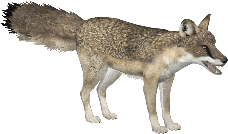 Ice Age Pack Zoo Tycoon 2 Forumsclub Gray Fox Png Zoo Tycoon 2 Icon