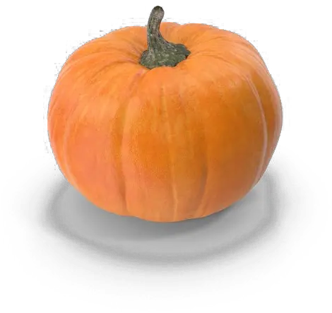 Pumpkin Patch Background Png Pumpkin With No Background Pumpkin Png Transparent