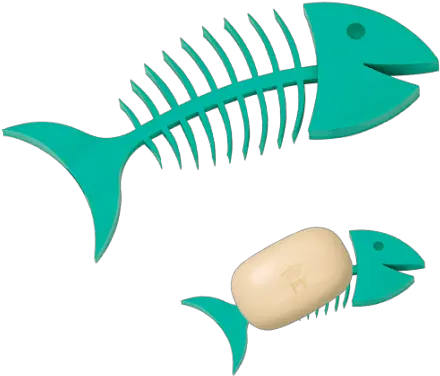 Soap Dish Fishbone Soap Fish Soap Dish Png Fish Skeleton Png