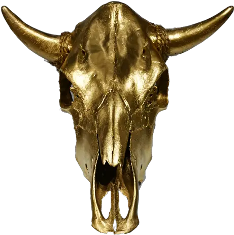 Cow Skull Skull Png Cow Skull Png