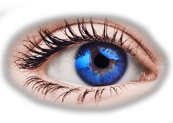 Download Real Blue Eye Png Hd Transparent Background Image Transparent Eye Png Hd Eyeball Transparent Background