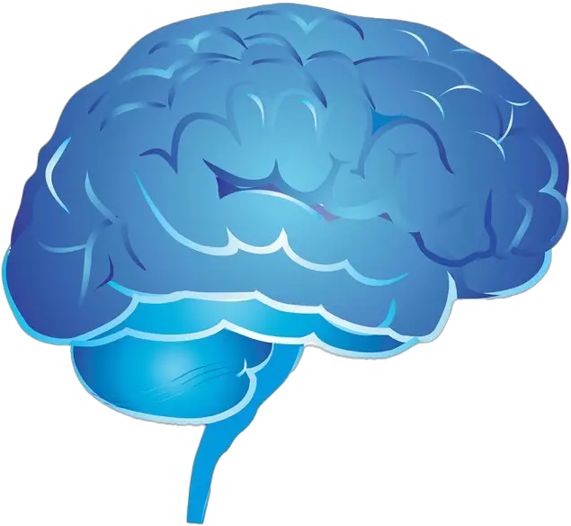 Blue Brain Png Image Transparent Arts Blue Brain Png Brain Transparent Background