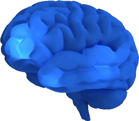 Brain The Healing Pool Magazine Keynote 3d Animation Png Brain Transparent Background