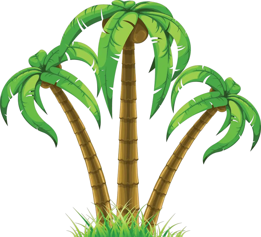 Crash Bandicoot Palm Tree Png