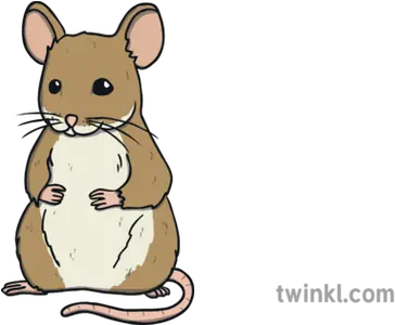 Mouse Animal Open Eyes Ks1 Illustration Twinkl Animal Figure Png Mouse Animal Png