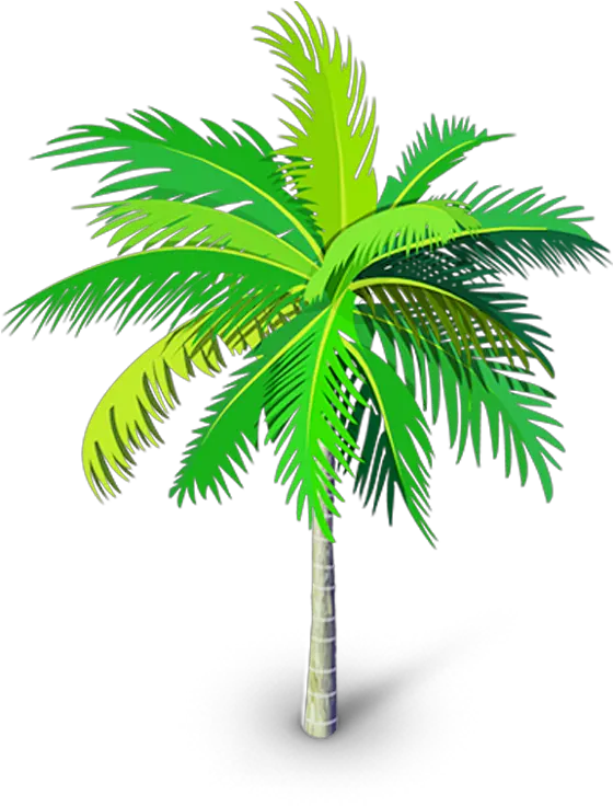 Arabian Palm Tree Png