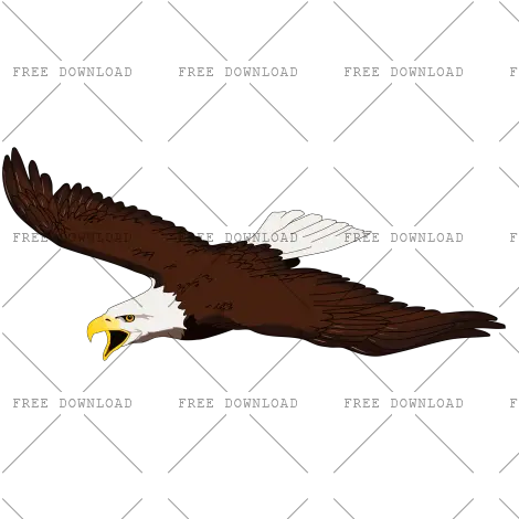 Eagle Hawk Bird Png Image With Transparent Background Png Bald Eagle Transparent