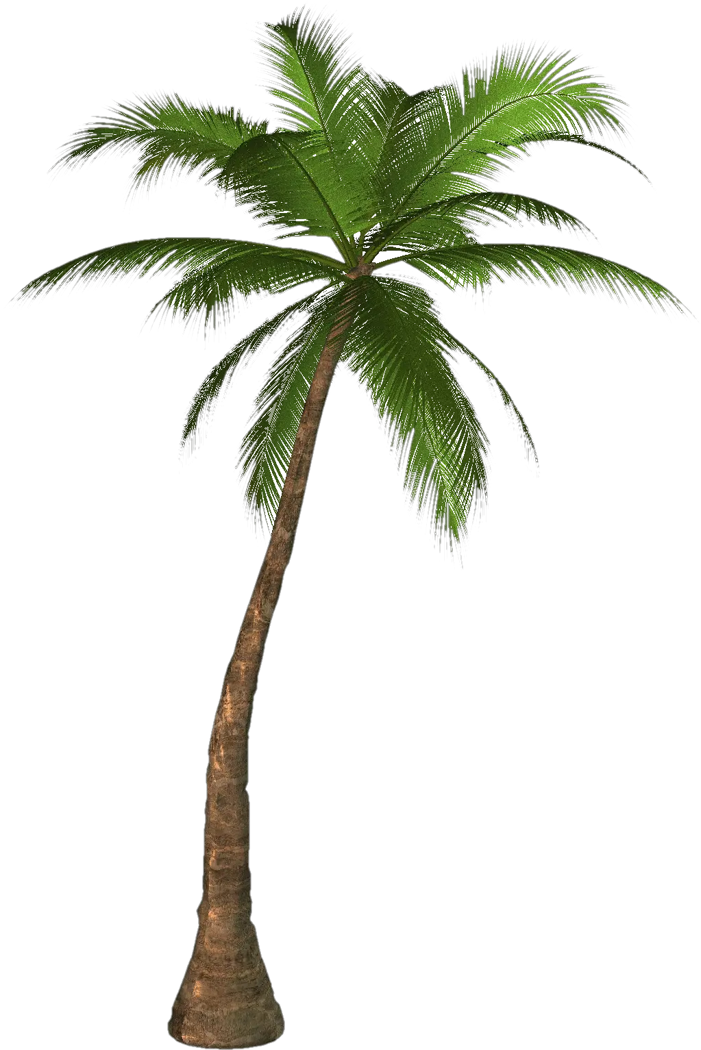 Palm Trees Png Cartoon