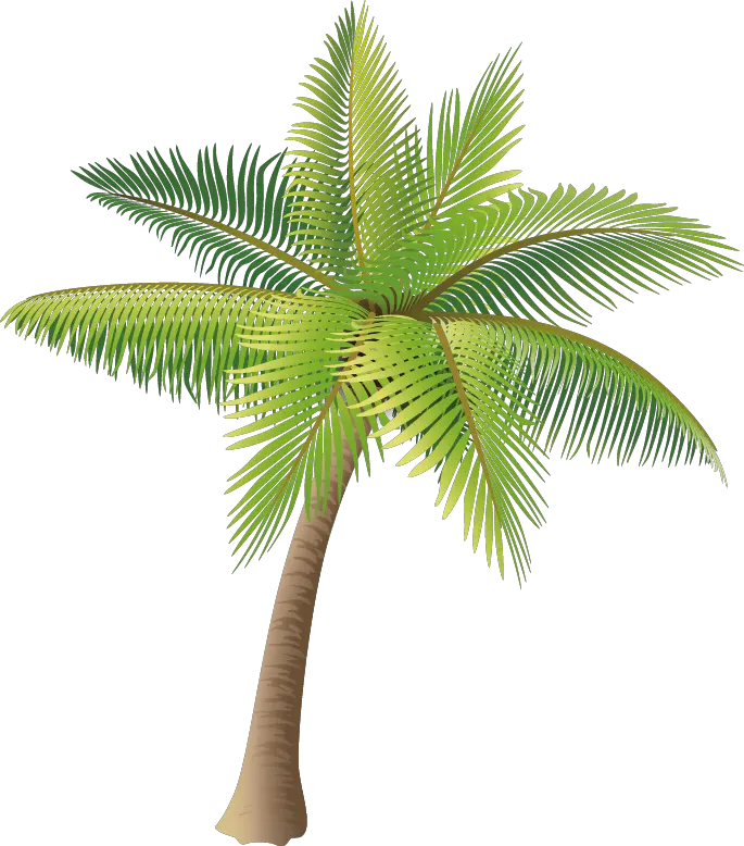 Black Palm Trees Png