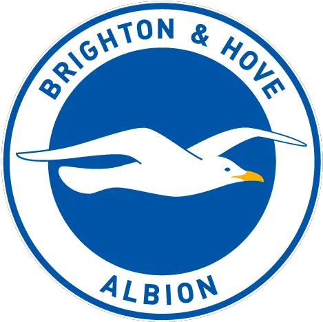 Official Licenses Murwalls Brighton And Hove Albion Png Netflix Raccoon Icon