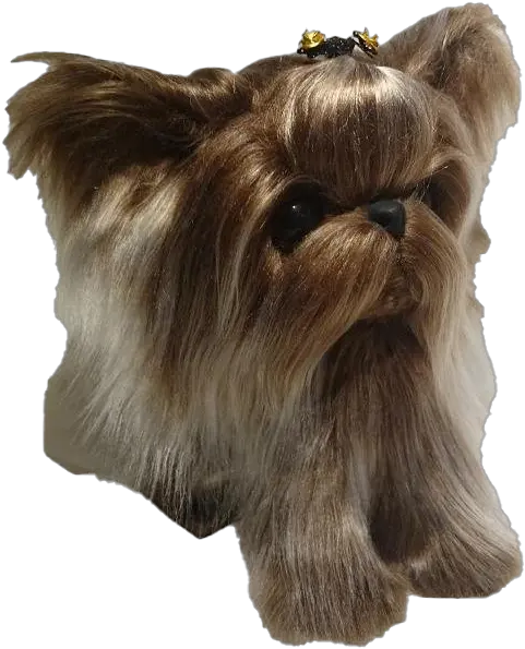 Yorkshire Terrier Png Transparent Images All Yorkshire Terrier Liver Png