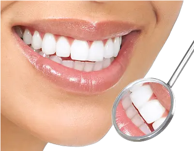 White Teeth Transparent Background Thm M Rng P Png Tooth Transparent Background