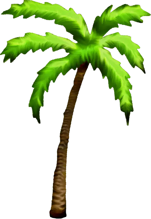 Palm Tree Png Clipart