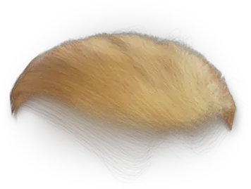 Trumpdonald Png Donald Trump Face Transparent