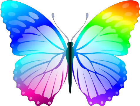 Gtsport Decal Search Engine Girly Png Butterfly Icon Image Girly