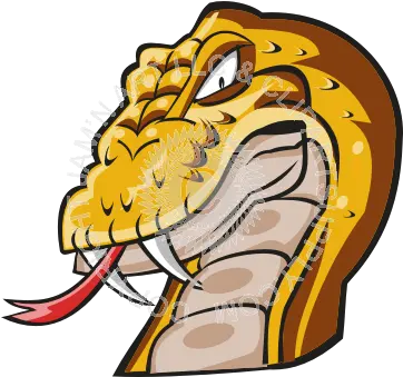 Download Hd Snake Head Png Transparent Big Snake Head Png