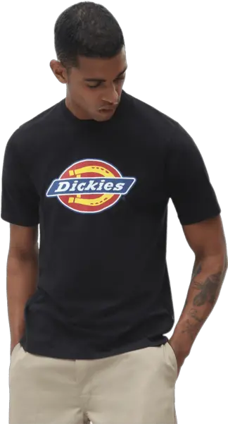 Sweden Sneakers Point Dickies Icon Logo T Ee Png Nike Tee futura Icon