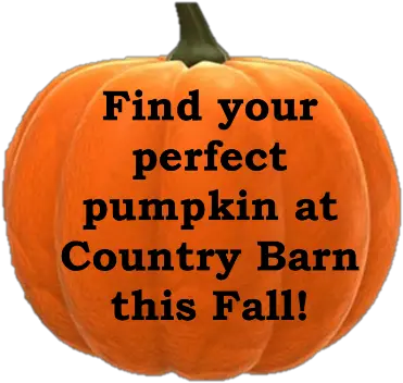 Pick Your Own Pumpkin U2014 Country Barn Png Pumpkins