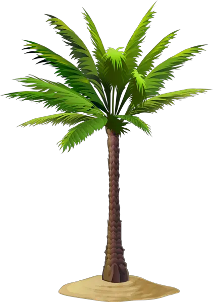 3d Palm Tree Png