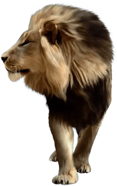 Download Free Lion Png Image Lion Png Download Hd Lions Icon