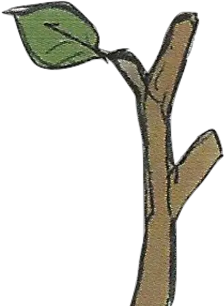 Tree Branch Fire Emblem Wiki Fandom Png Limb