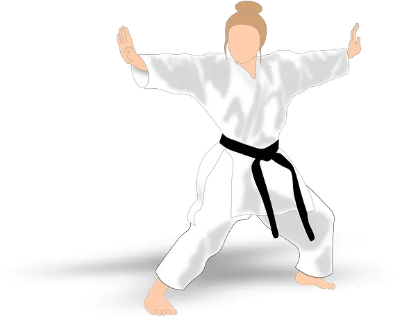 Comprehensive Guide To Lean Six Sigma Black Belt Certified Gambar Karate Kata Png Black Belt Png