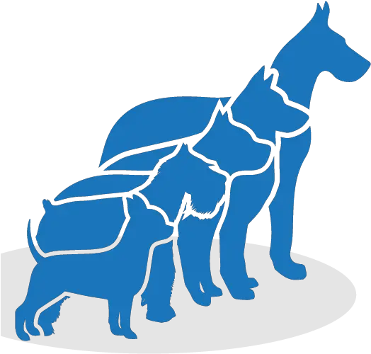 Premier Pack Dog Training Contract Png Animal Icon