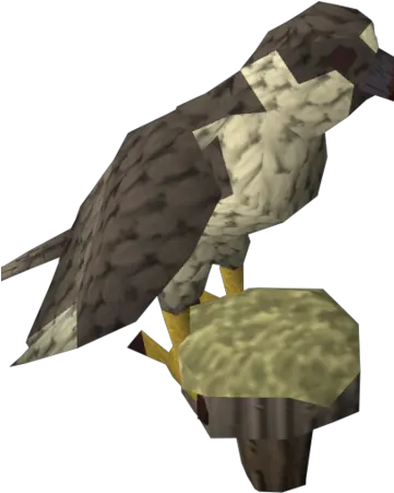 Gyr Falcon Runescape Wiki Fandom Golden Eagle Png Falcon Png