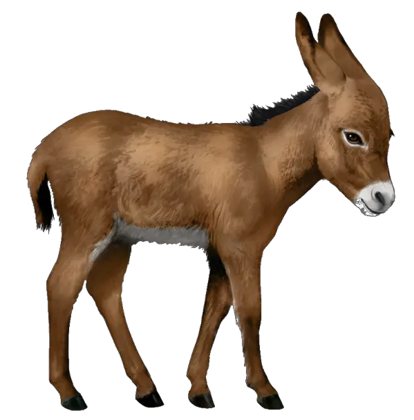 Free Transparent Png Images Transparent Background Donkey Transparent Donkey Png