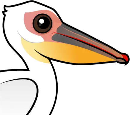 Cute Great White Pelican By Birdorable U003c Meet The Birds Great White Pelican Clipart Png Pelican Png